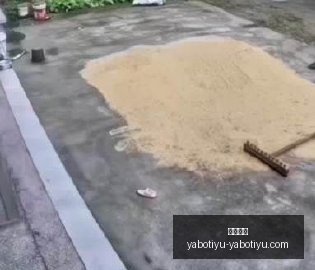 终极指南,辅助下,心理老师如,亚博体育,亚博体育官网,亚博体育app,亚博体育下载